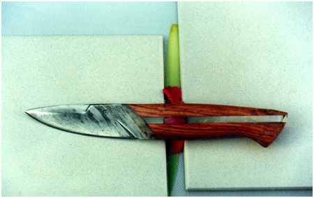 Damas cable et bois de rose