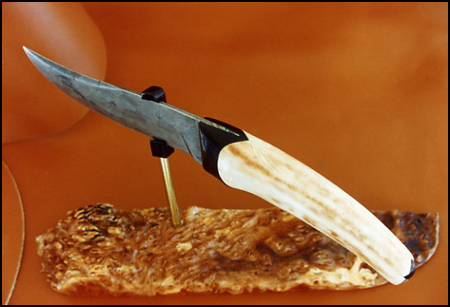 Damas chaine et stag